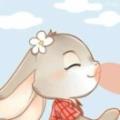 莫莫_0226211131